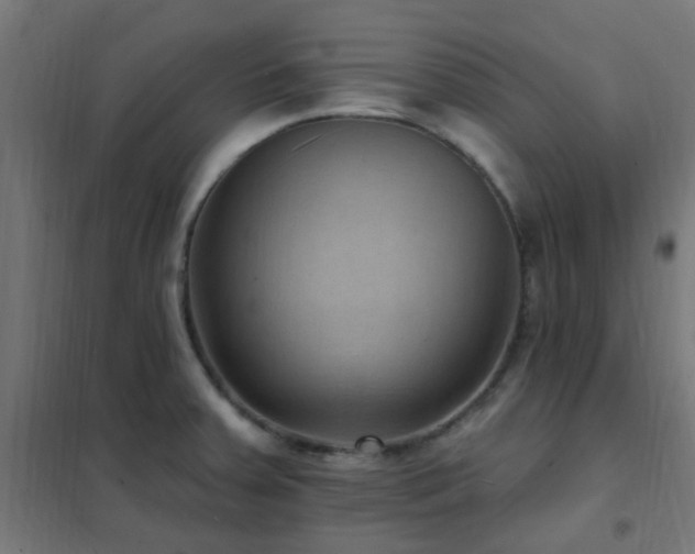 X0000102231379200807251225