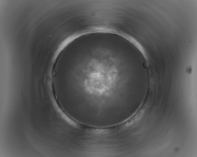 X0000102231381200807251225