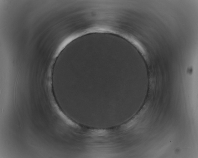 X0000102231382200807251225