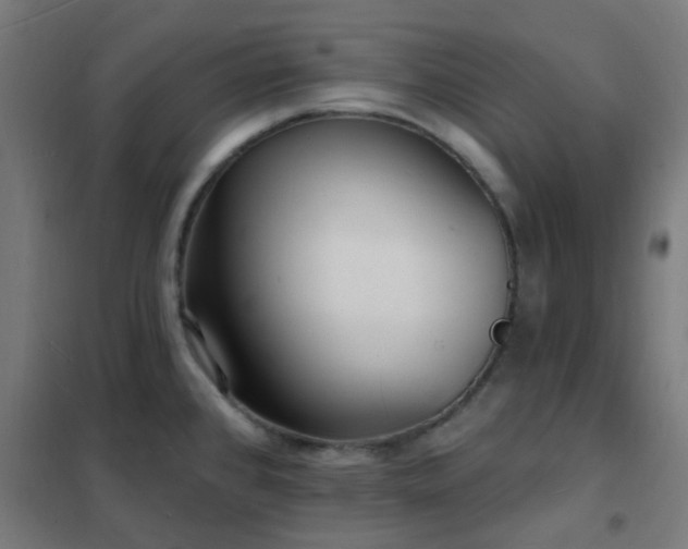 X0000102231384200807251225