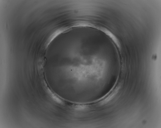 X0000102231385200807251225