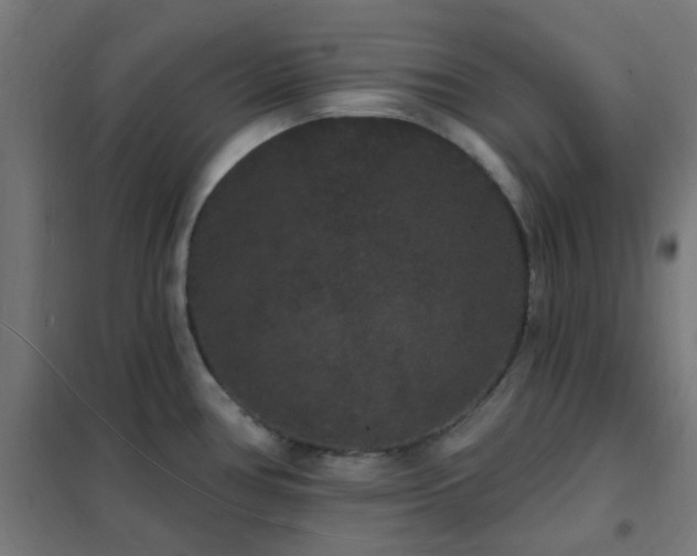 X0000102231386200807251225
