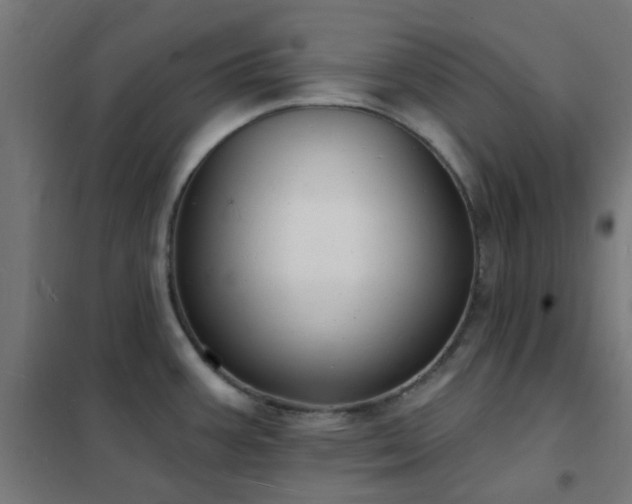 X0000102231387200807251225