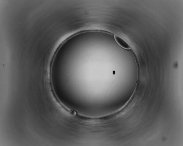 X0000102231388200807251225
