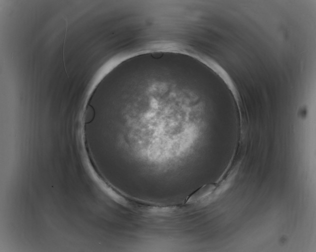 X0000102231389200807251225