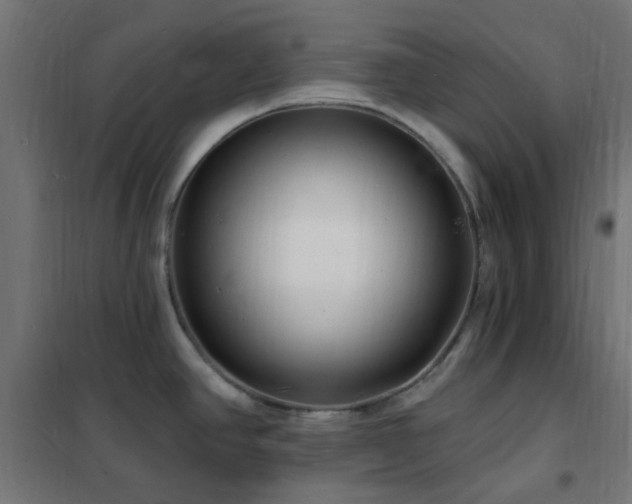 X0000102231390200807251225
