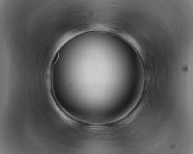 X0000102231391200807251225