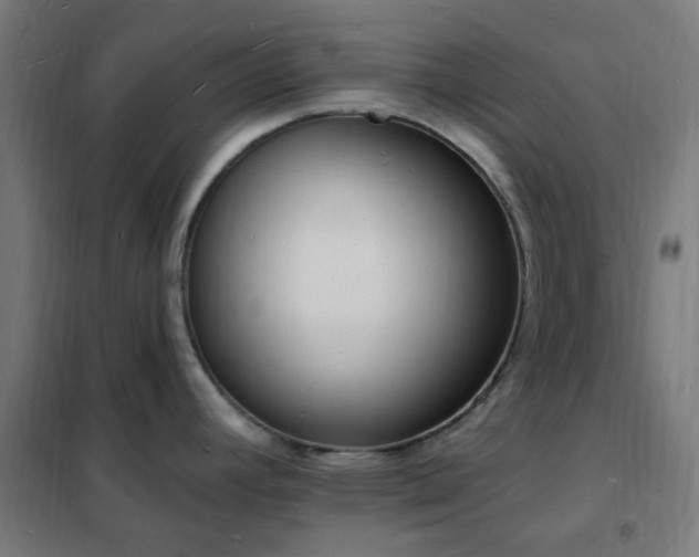 X0000102231392200807251225