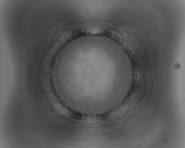 X0000102231393200807251224