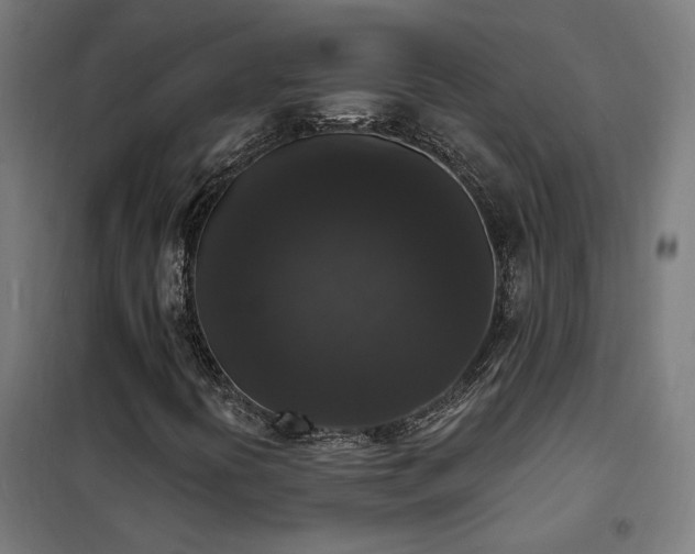 X0000102231394200807251224