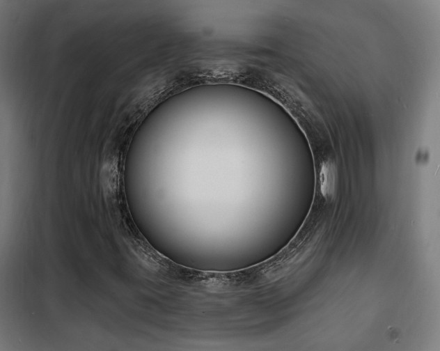 X0000102231395200807251224