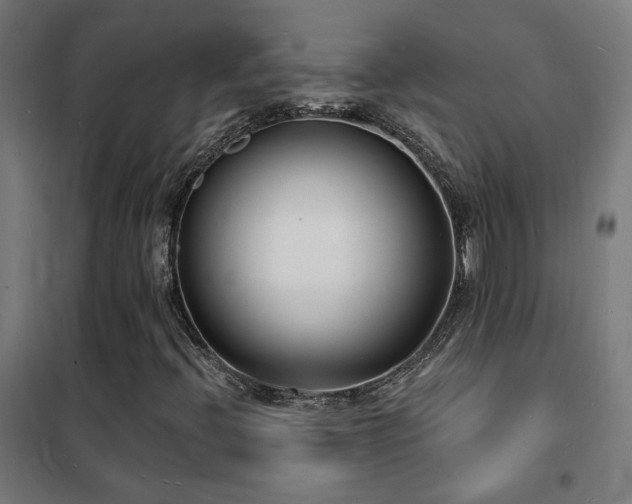 X0000102231396200807251224