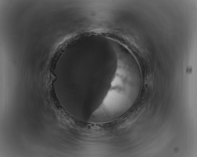 X0000102231398200807251224