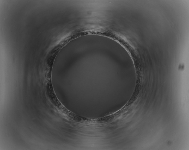 X0000102231399200807251224