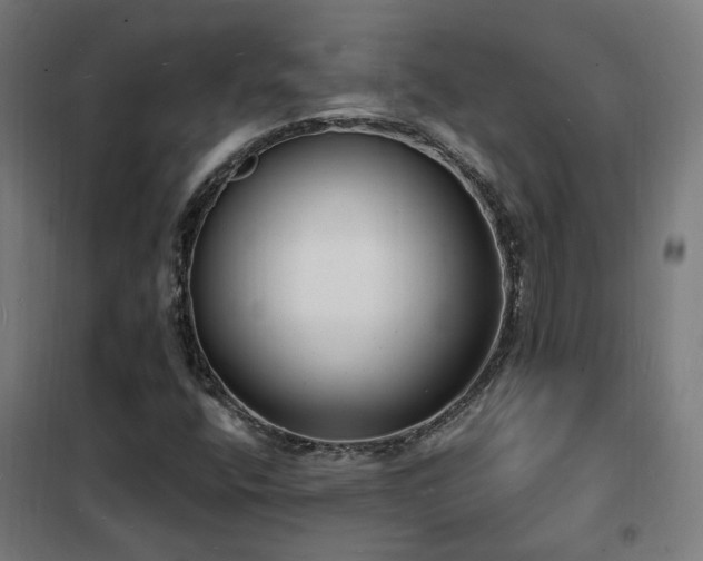 X0000102231400200807251224