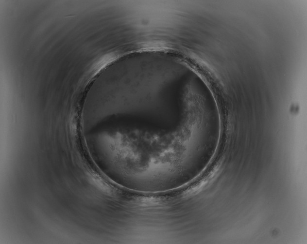 X0000102231401200807251224