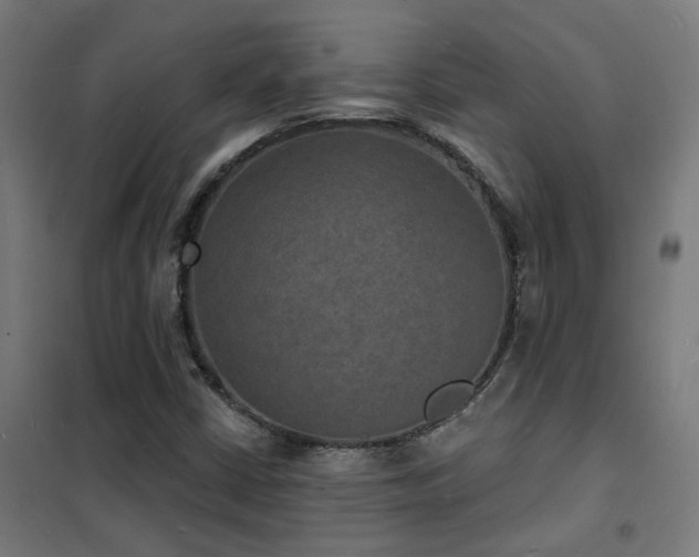 X0000102231402200807251224
