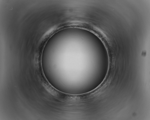 X0000102231403200807251224