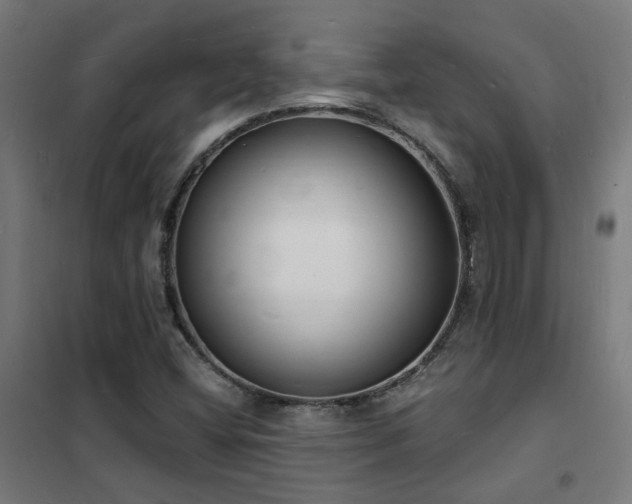 X0000102231404200807251224