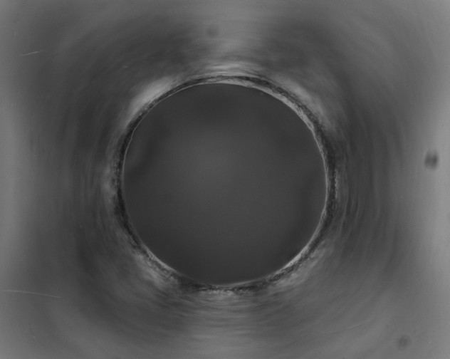 X0000102231405200807251224