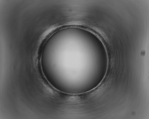 X0000102231406200807251224