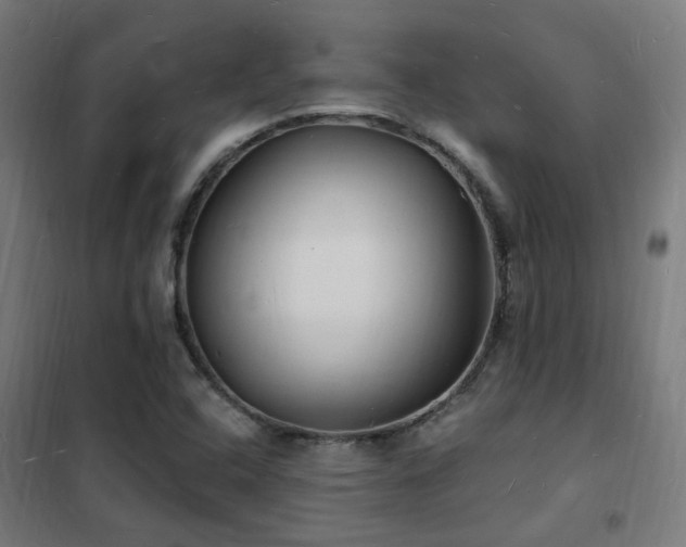 X0000102231408200807251224
