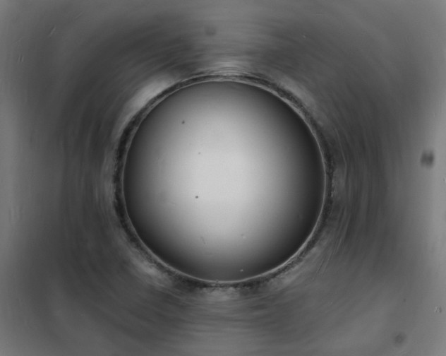 X0000102231410200807251224