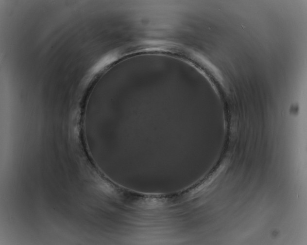 X0000102231411200807251224