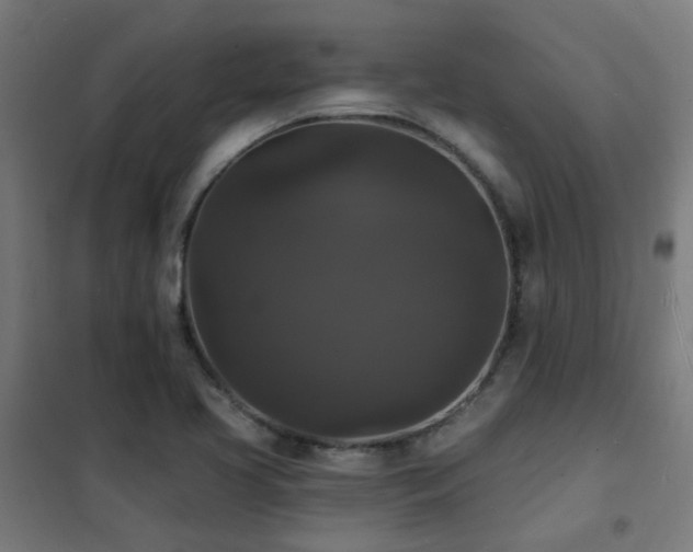 X0000102231413200807251224