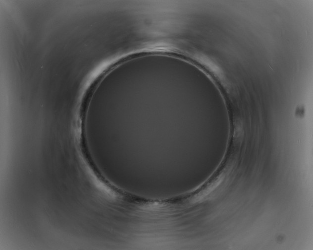 X0000102231414200807251224