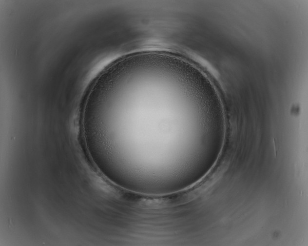 X0000102231415200807251224