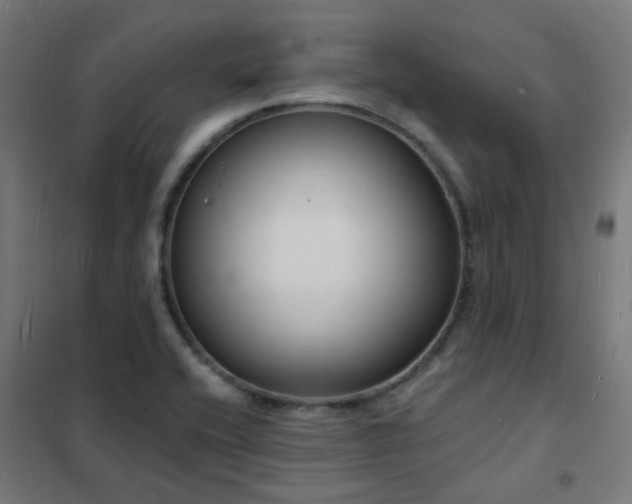 X0000102231416200807251224