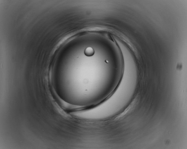 X0000102231417200807251224