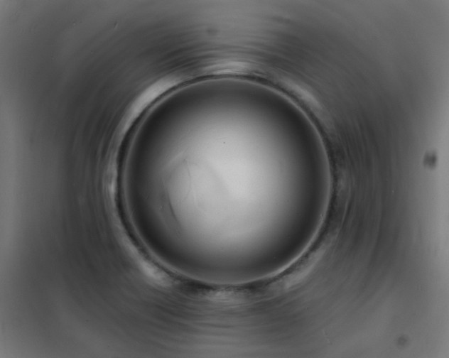 X0000102231418200807251224