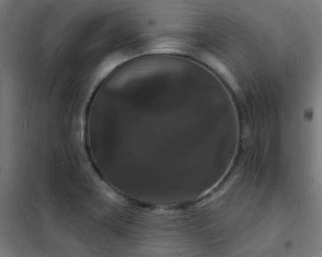 X0000102231419200807251224