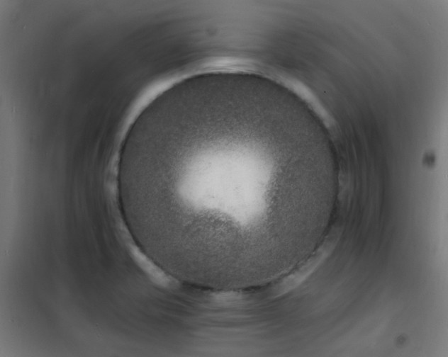 X0000102231421200807251224