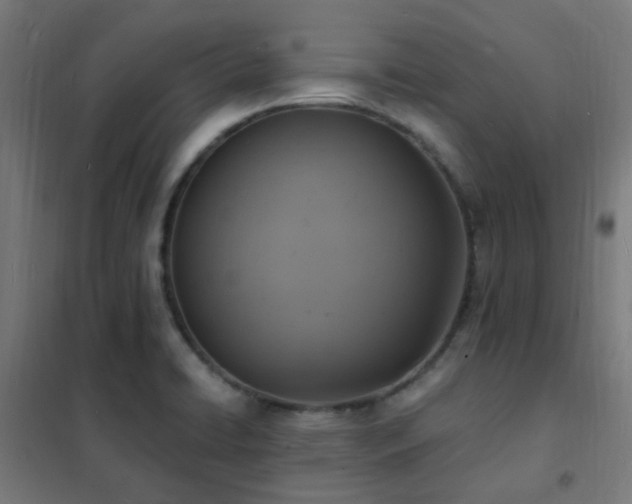 X0000102231422200807251224