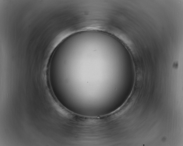 X0000102231423200807251224