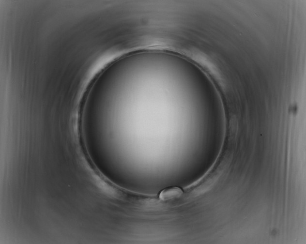 X0000102231424200807251224