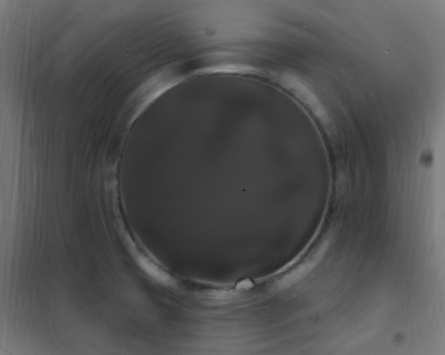 X0000102231425200807251224