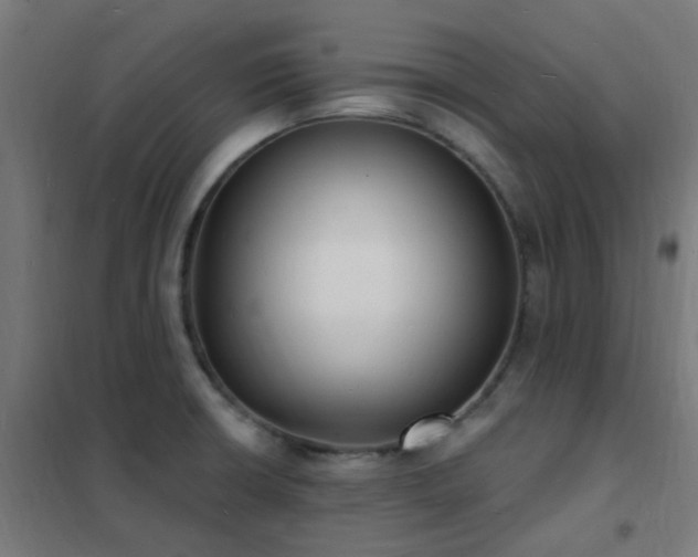 X0000102231426200807251224