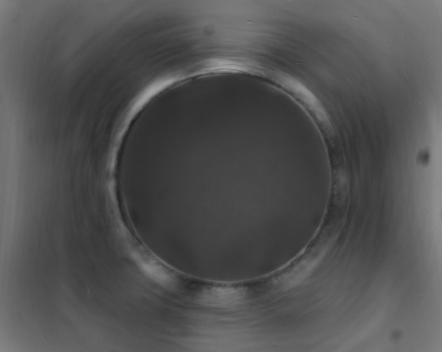 X0000102231427200807251224