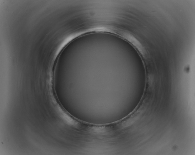 X0000102231428200807251224