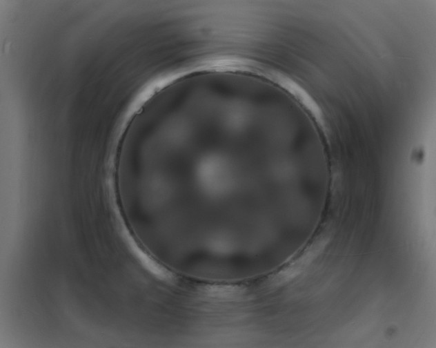 X0000102231429200807251224