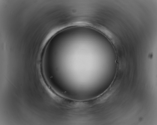 X0000102231430200807251224