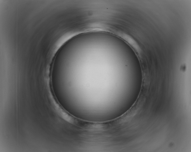 X0000102231431200807251224
