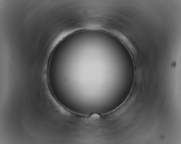 X0000102231432200807251224