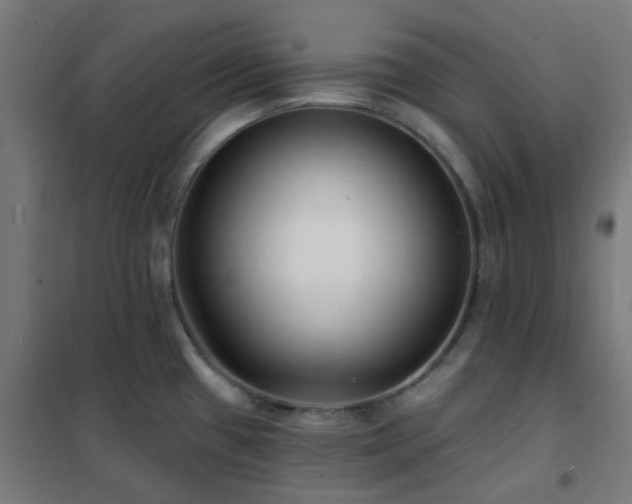 X0000102231433200807251224