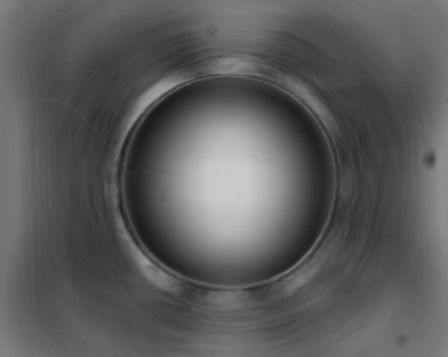 X0000102231434200807251225