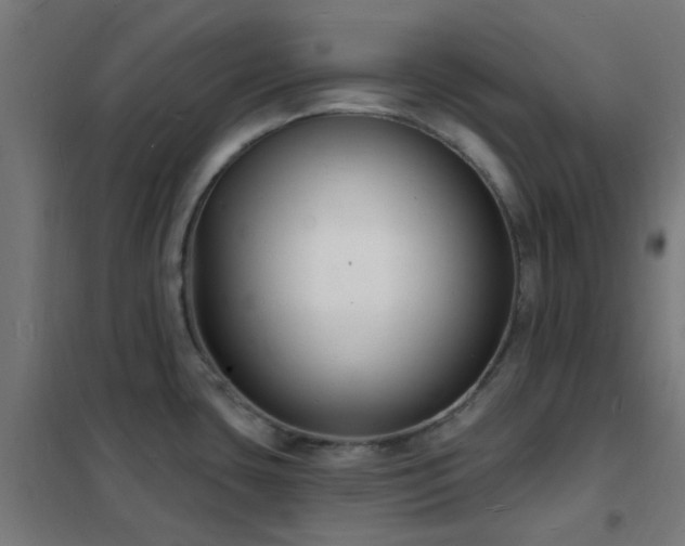 X0000102231435200807251225